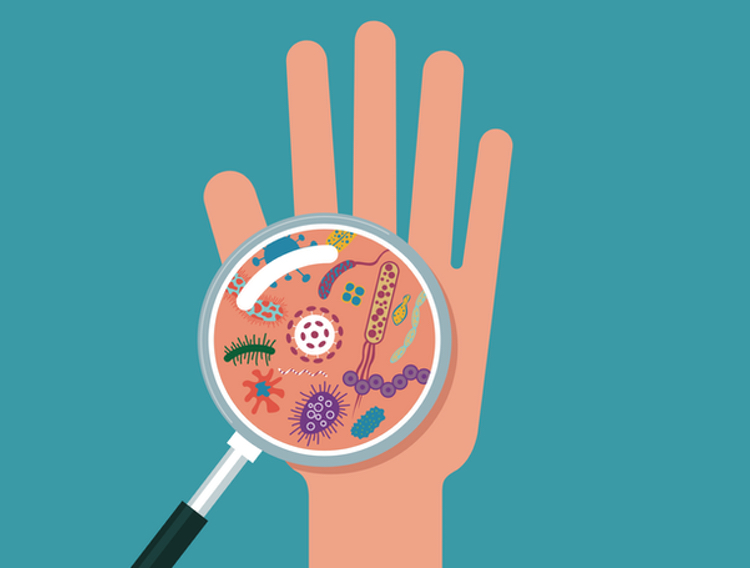 A guide to common sterile processing contaminants