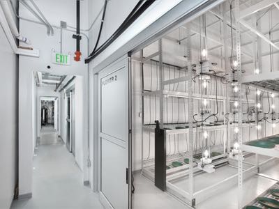 Adopting cleanroom technology for safer medicinal cannabis