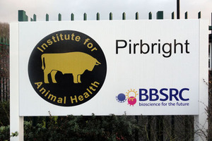 Animal pathogens studied in safety