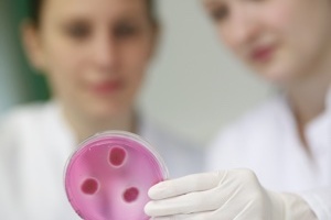 Are Lewis acids the antimicrobial solution for textiles? 