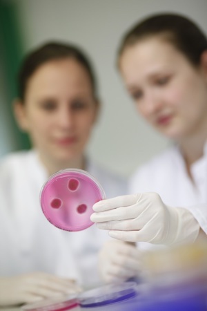 Are Lewis acids the antimicrobial solution for textiles? 