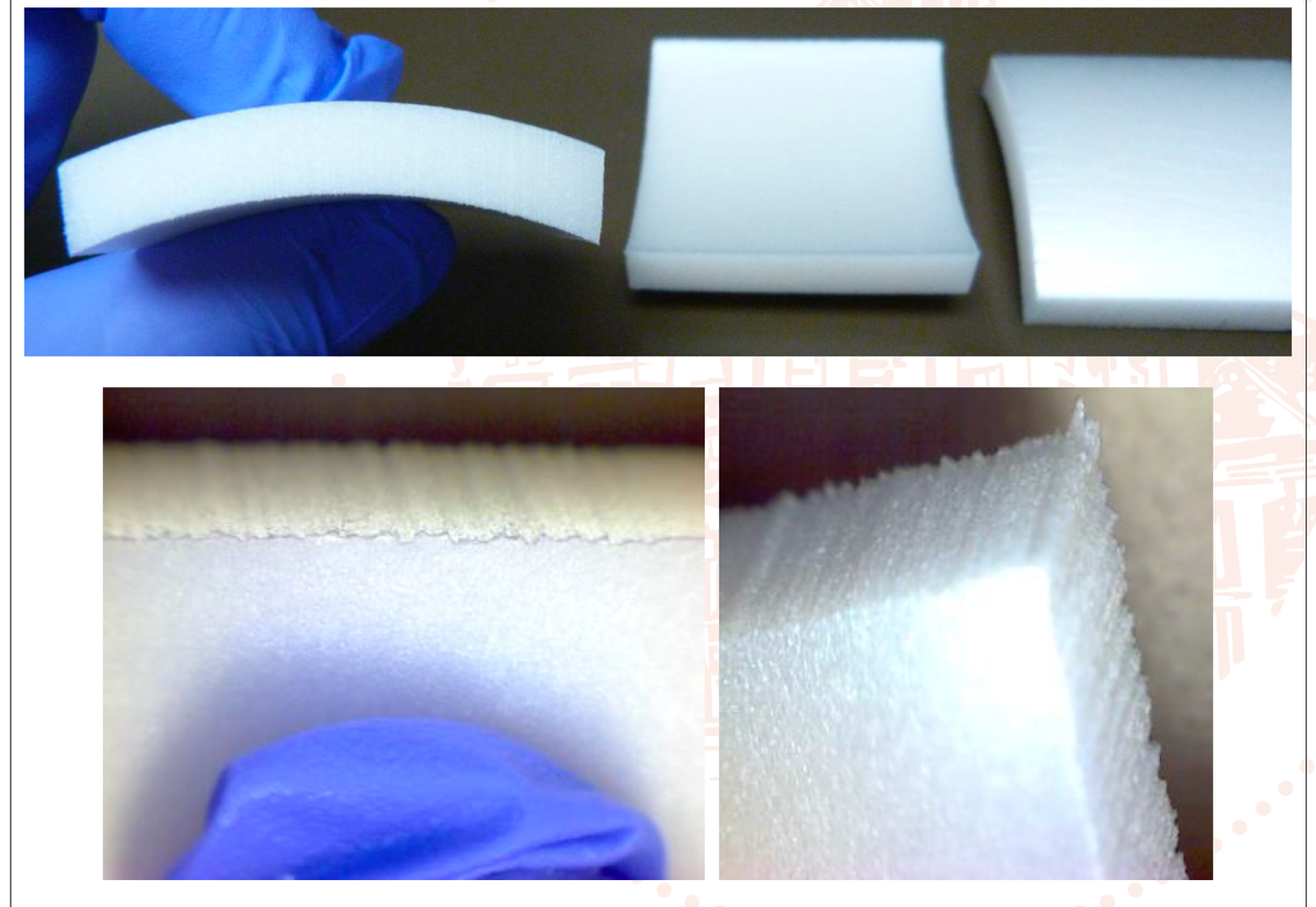 Figure 1: Post-test photos and close-up images of the the T-FIT Clean sample, which received a mould growth rating of 0
