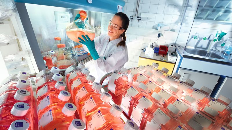 Bayer research employee holds a flask that contains 1,5 litres of cell culture media. Photo credit: Bayer