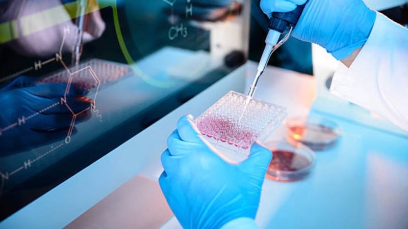 bioMerieux acquires molecular testing company