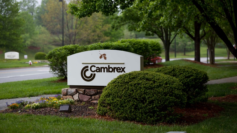 Cambrex to create new centre of excellence