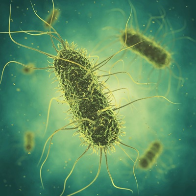Salmonella causes more than one million food-borne illnesses in the US annually