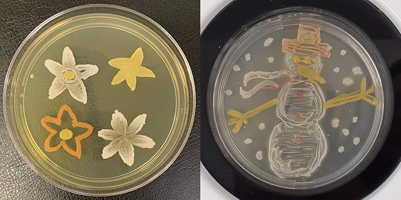 Cherwell’s Agar Art Competition 2021 winning entries from summer & Christmas competitions