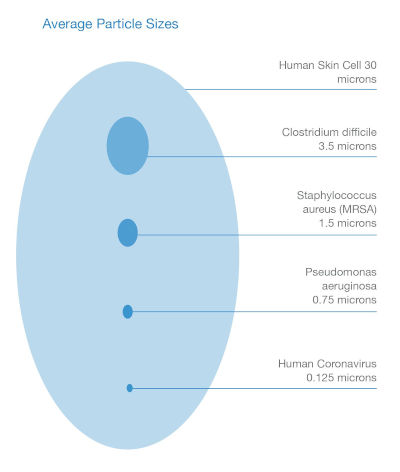 Microbe size chart