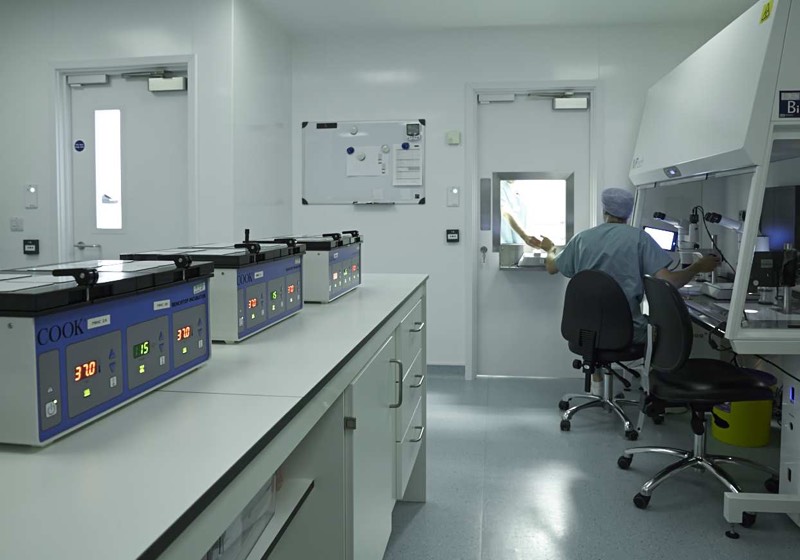 Cleanroom technology for the IVF industry