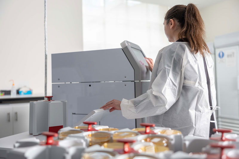 Clever Culture Systems