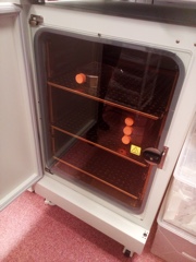 The antimicrobial copper incubator installed in the University of Liverpool’s Biological Sciences Department.<br>Image courtesy of Triple Red