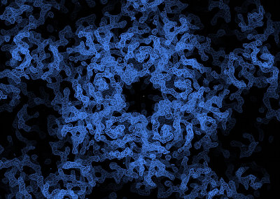 EV71 is the root cause of hand-foot-and-mouth disease