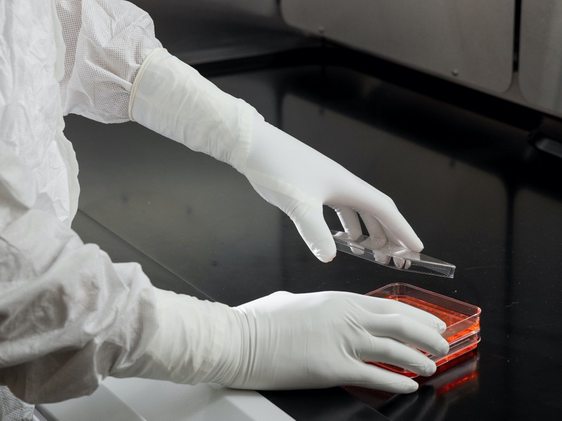 Going the distance: Why do we need accelerator-free cleanroom glove protection?