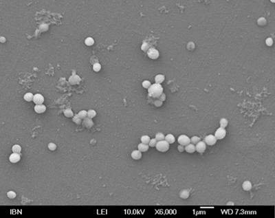 IBM and IBN in Singapore develop antimicrobial hydrogel to tackle superbugs