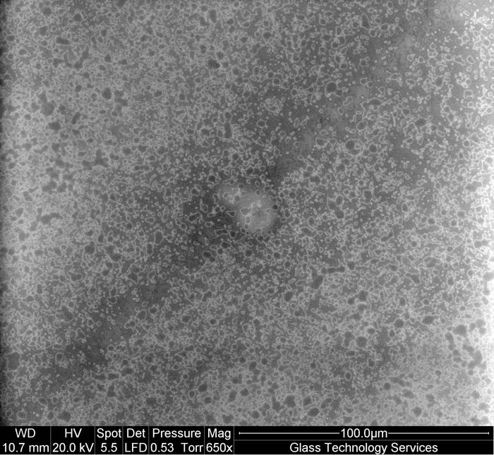 SEM image showing surface attack of flame worked region on vial sidewall