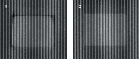 Figure 3: An illustration of the effects of plasma cleaning on a NIST reference sample before (a) and after (b) treatment<br>Image courtesy of NIST