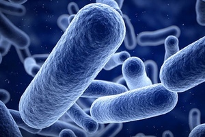 Artificial enzyme fights infection