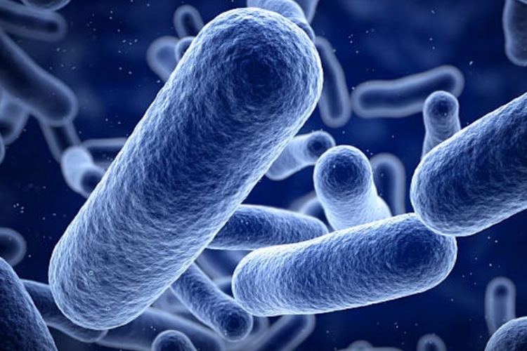 Artificial enzyme fights infection
