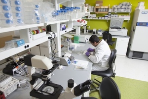 Astellas invests $13m in cell and gene therapy innovation incubators