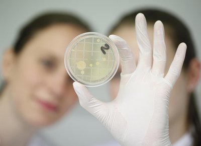Ceramic coating for batch washing machines keeps bugs at bay