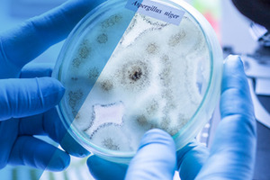 Cleanroom insulation solutions go head-to-head in independent testing report