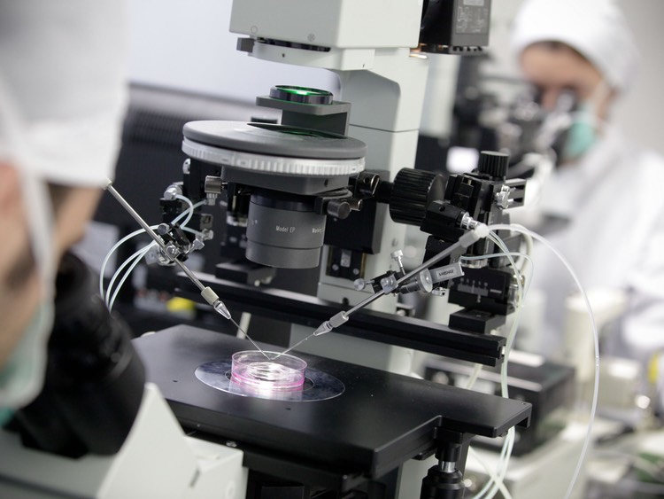 Cleanroom technology for the IVF industry