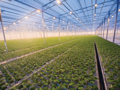 Controlling environmental factors