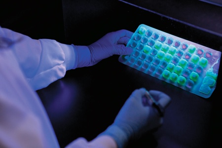 Dealing with waterborne bacterial threats