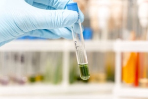 DNA-driven pathogen detection for cannabis-hemp products