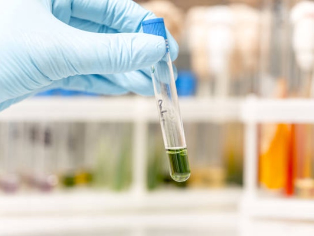 DNA-driven pathogen detection for cannabis-hemp products