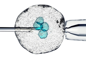 Does cell therapy starting material collection require a cleanroom?