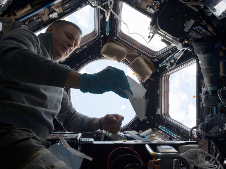ESA unveils microbial wipe down at the International Space Station