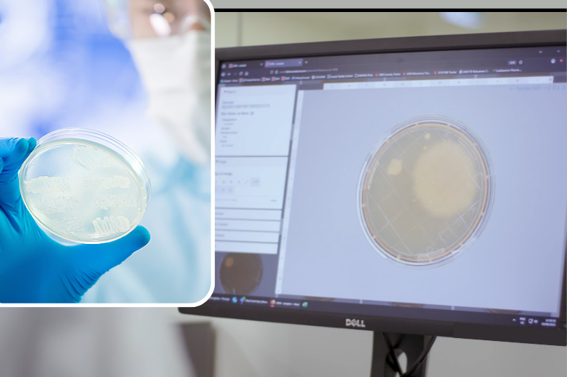 From plate to proof: rethinking data integrity in environmental monitoring