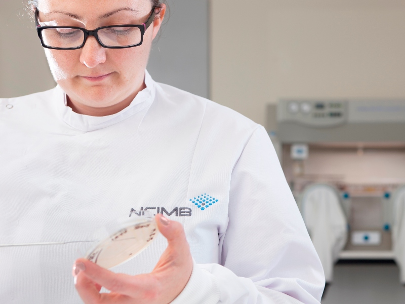 Fungal isolates: identifying the usual suspects