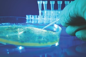 Hot topics in microbiology