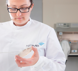 How to approach the Identification of yeasts and moulds