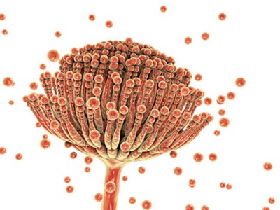 Hygiena acquires mycotoxin specialist