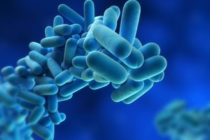 IDEXX launches rapid water test for Legionella across Europe, Middle East and Africa 