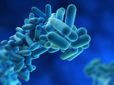 IDEXX launches rapid water test for Legionella across Europe, Middle East and Africa 
