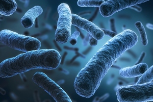 Legionella testing: Modern alternatives to the ‘gold standard’ test