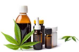 Medicinal cannabis: What it takes to be GMP-ready