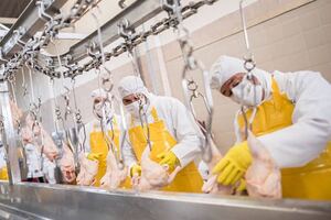 Microbiologists put a question mark over chlorine washing