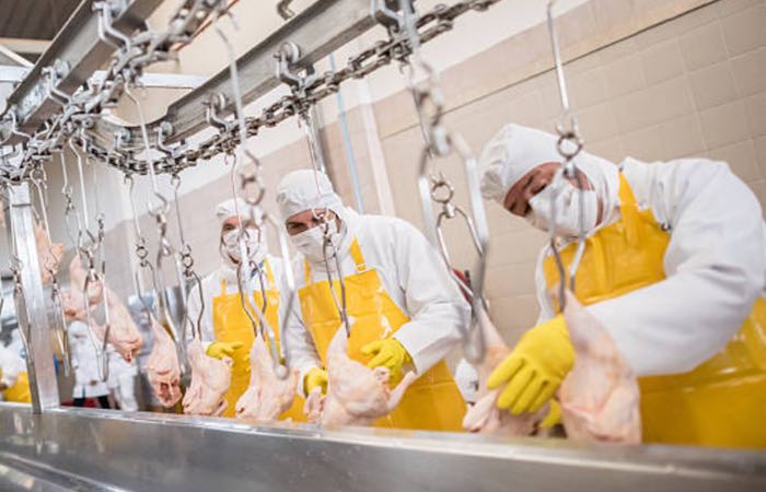Microbiologists put a question mark over chlorine washing
