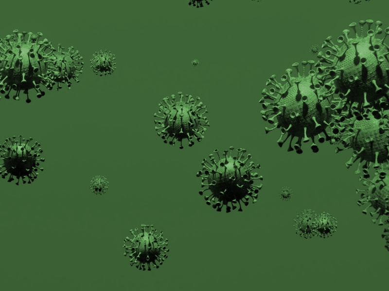 Microgenetics develops rapid microbial test method with six-hour result time
