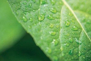 Micronclean diverts over 180,000 garments from landfill in major circular economy initiative