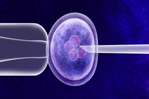 Modular buildout strategies for a biopharma world