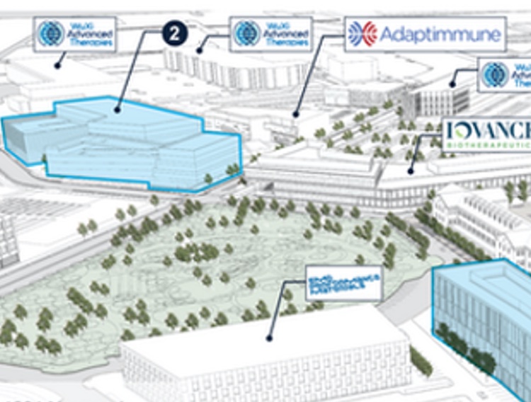 Navy Yard chooses top engineering firms for life science hub expansion