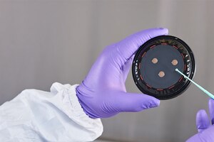 Nephron Pharmaceuticals automates microbial monitoring service