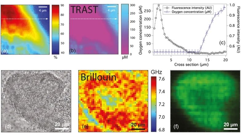 New techniques to identify physical properties of biofilms