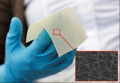 New test method developed for hand disinfection